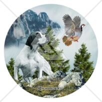 Πόιντερ ΕΑ28