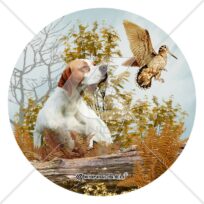 Πόιντερ ΕΑ29