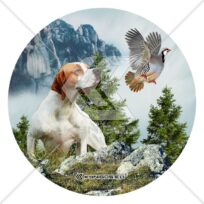 Πόιντερ ΕΑ30